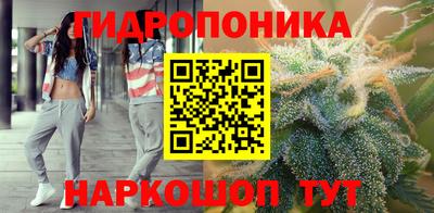 дурь Можга