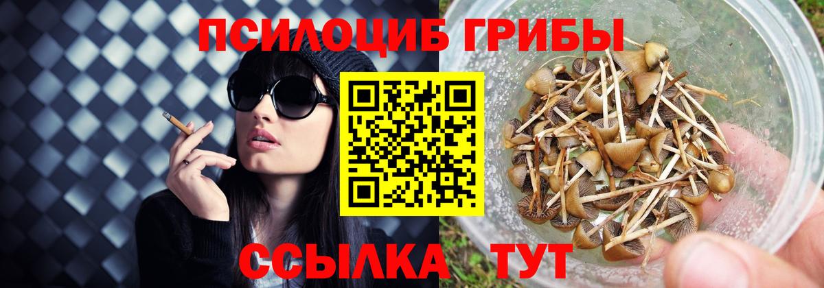 Усть-Илимск  Галлюциногенные грибы Cubensis  Вход с VPN 